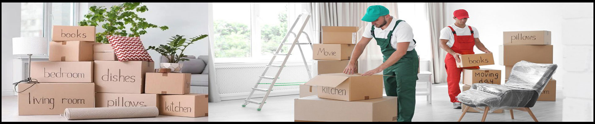 Noida Packers And Movers Sector 29
